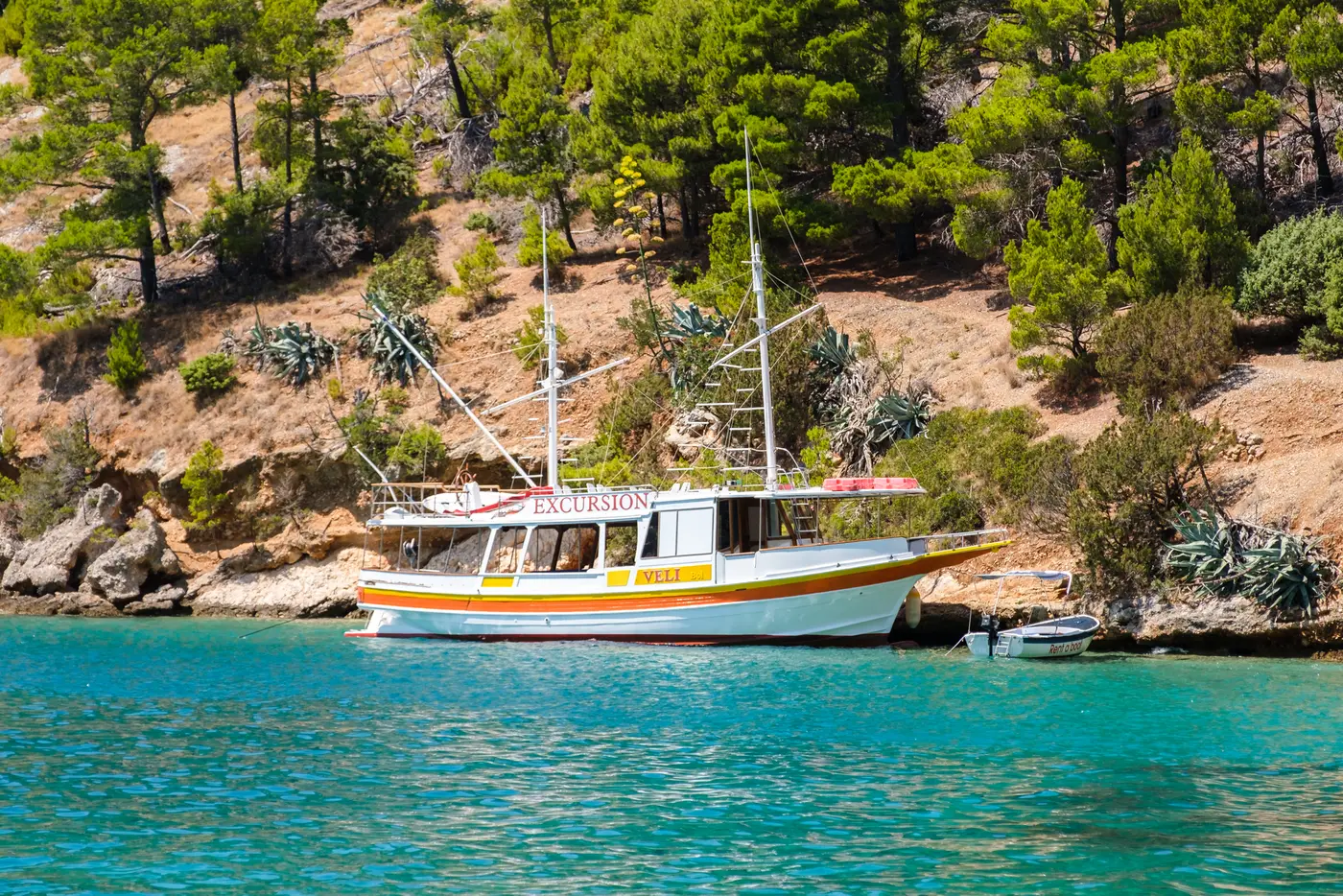 Boat anchored along a pine-lined shore